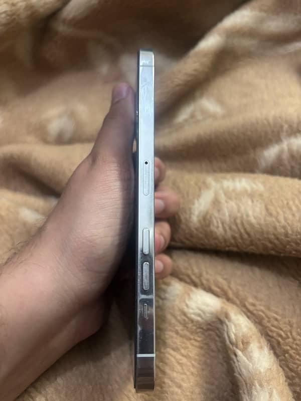 iphone 12 pro max pta approve 4