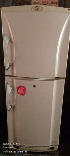 PEL fridge medium size