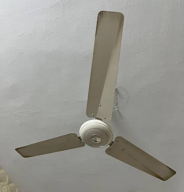 Ceiling fan, 2 Pak Fans in good condition. CLEAN and ready to use. 0