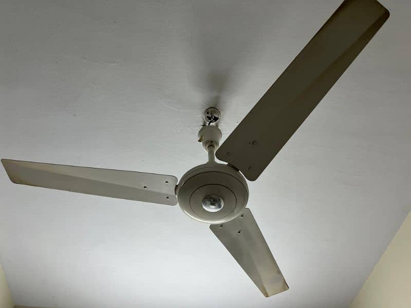 Ceiling fan, 2 Pak Fans in good condition. CLEAN and ready to use. 1