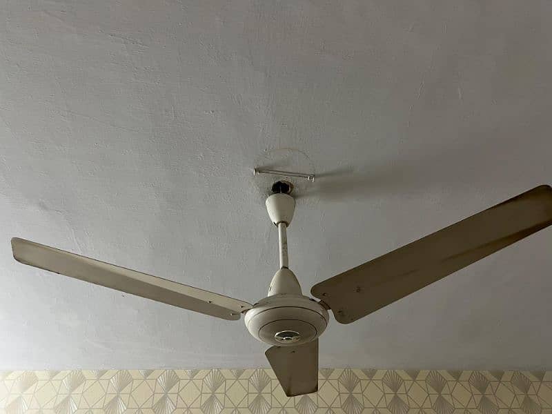 Ceiling fan, 2 Pak Fans in good condition. CLEAN and ready to use. 2