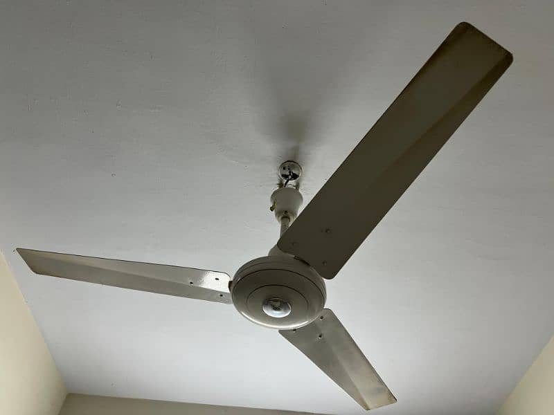 Ceiling fan, 2 Pak Fans in good condition. CLEAN and ready to use. 3