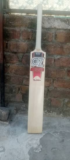 cricket hardball bat