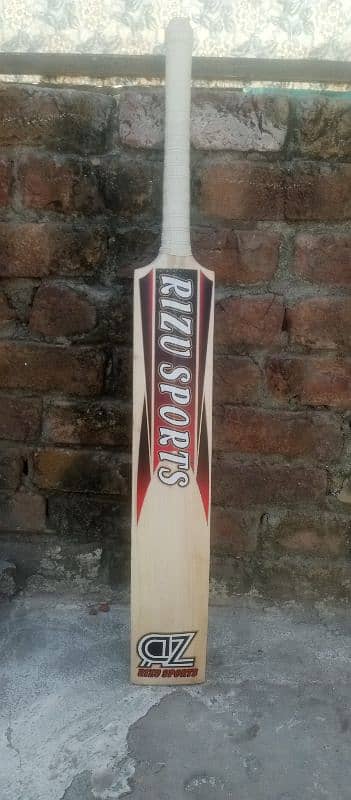 cricket hardball bat 1