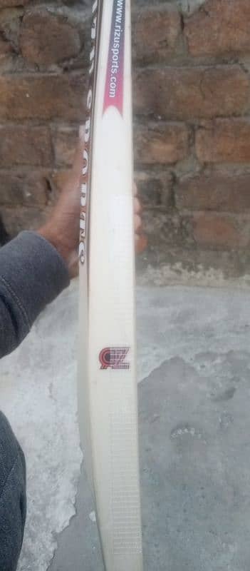 cricket hardball bat 2