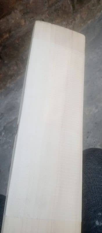 cricket hardball bat 3