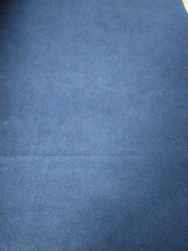 Carpet 0