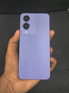 Vivo Y 17s Available