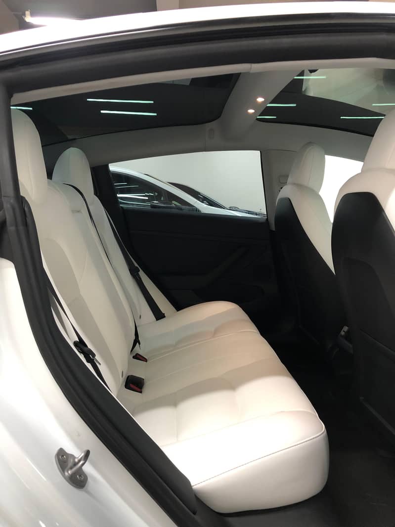 Tesla Model 3 2021 Standard Range Plus- SpaceX 8