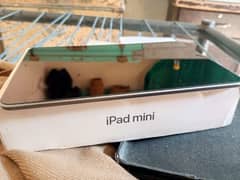 Ipad Mini 5