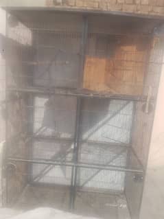 bird cage and hen cage