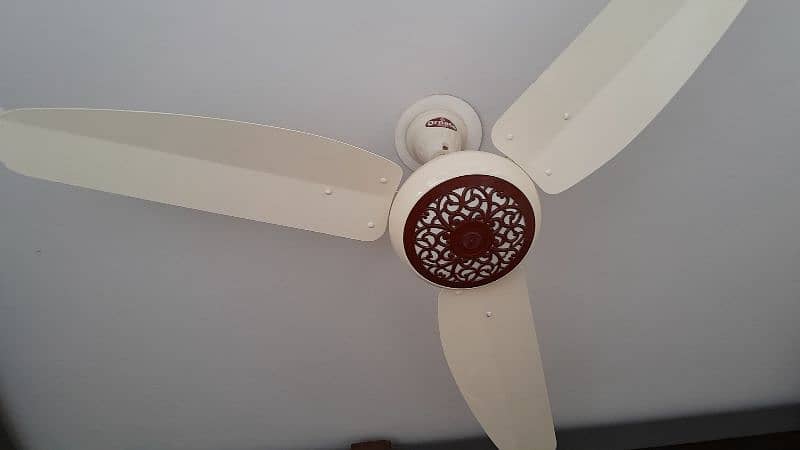 Ornate Fan 1