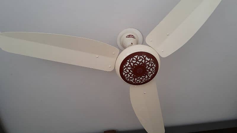 Ornate Fan 4