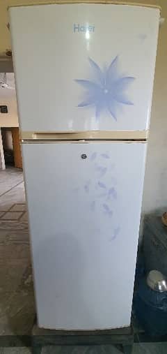 Haier refrigerator large size