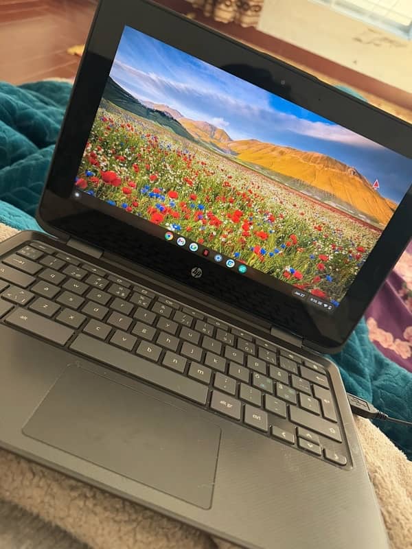 Hp Chromebook 6