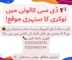 ڈی سی کالونی میں نوکری کا سنہری موقع