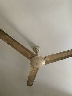 Ceiling Fan Pak fan