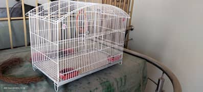 Budgies australian parrots cage pinjra urgent sale condition (9.9/10)