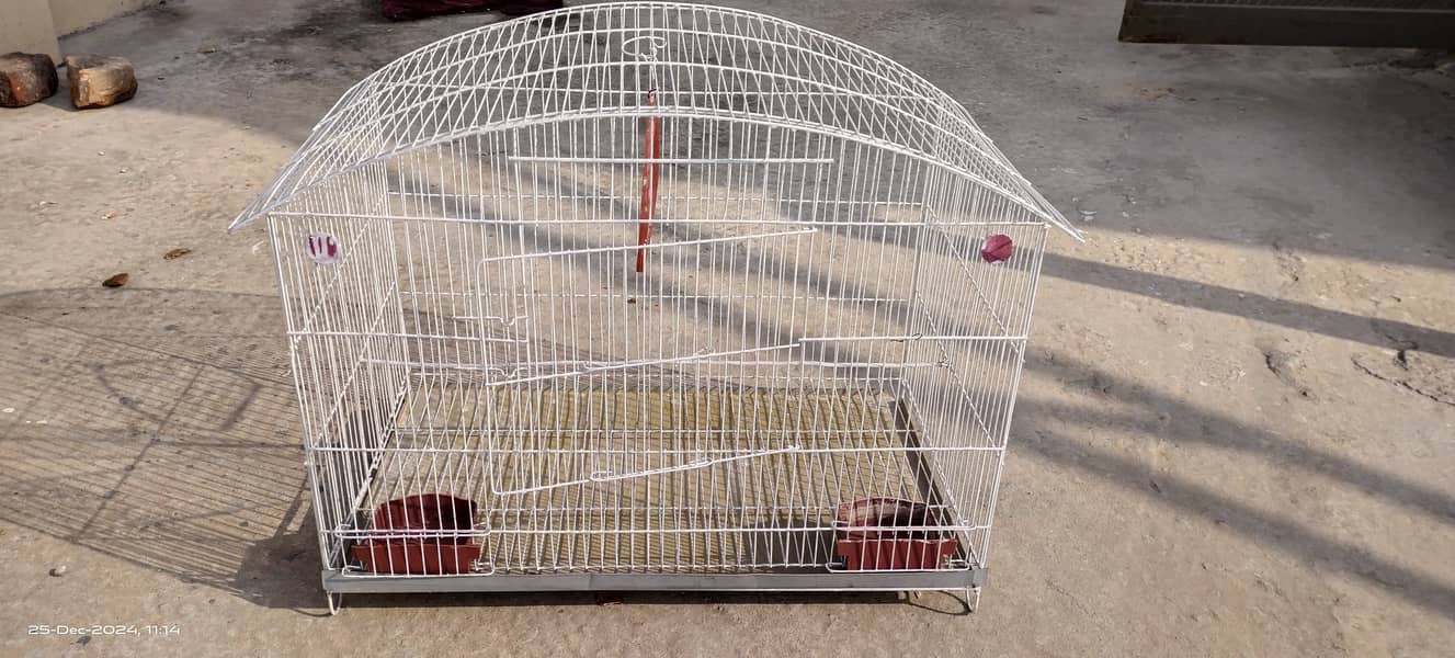 Budgies australian parrots cage pinjra urgent sale condition (9.9/10) 1