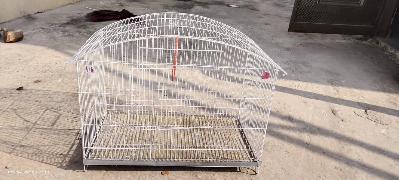 Budgies australian parrots cage pinjra urgent sale condition (9.9/10) 2