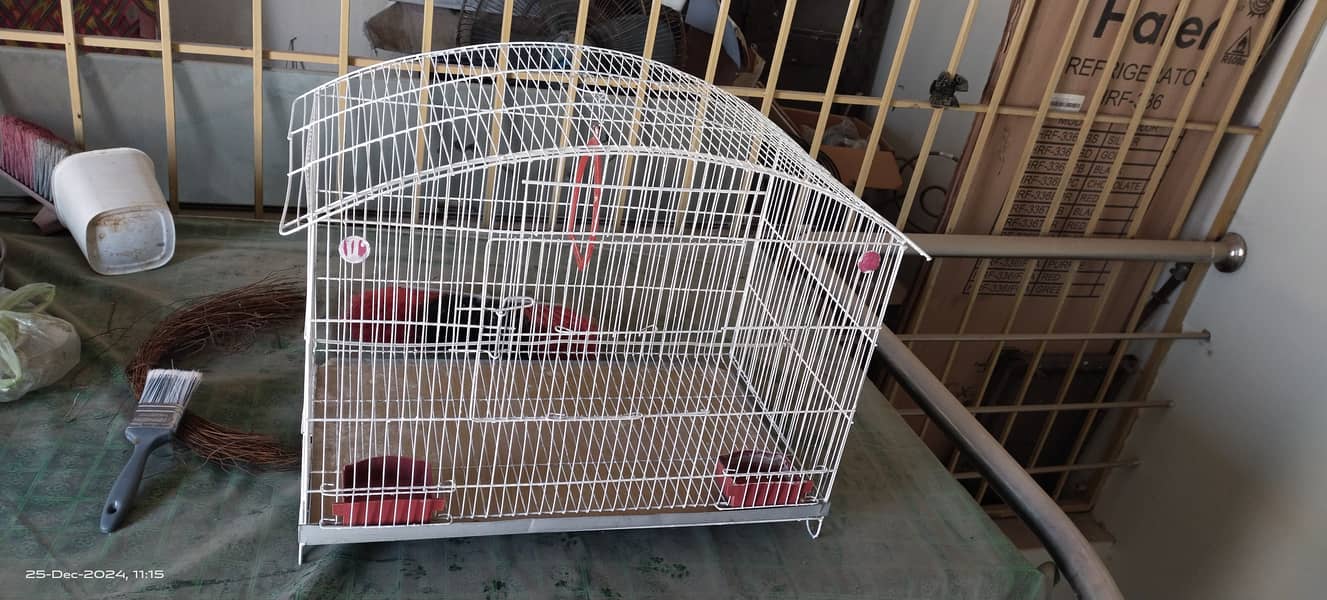 Budgies australian parrots cage pinjra urgent sale condition (9.9/10) 3