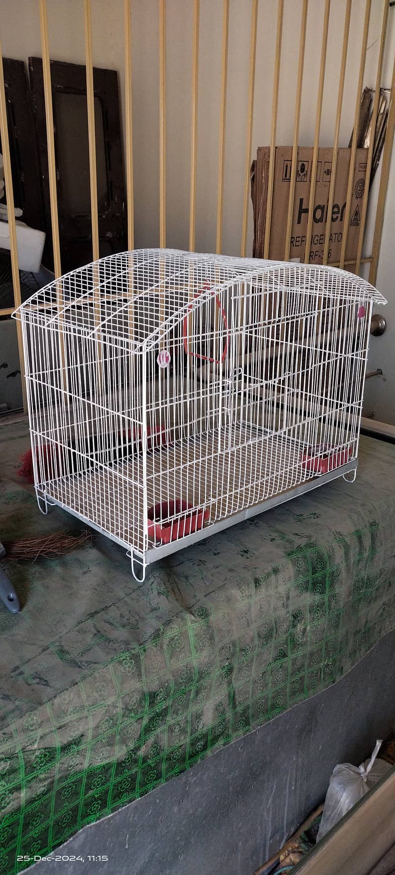 Budgies australian parrots cage pinjra urgent sale condition (9.9/10) 5