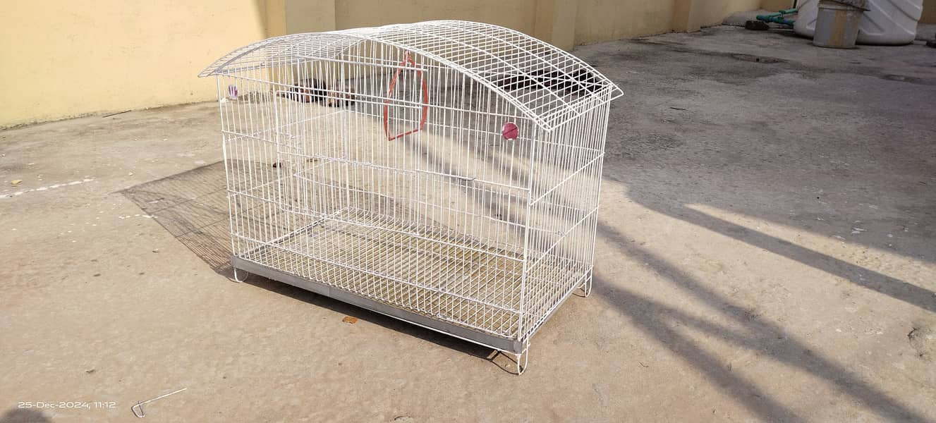 Budgies australian parrots cage pinjra urgent sale condition (9.9/10) 6