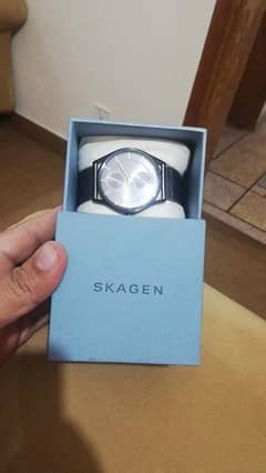 Skagen