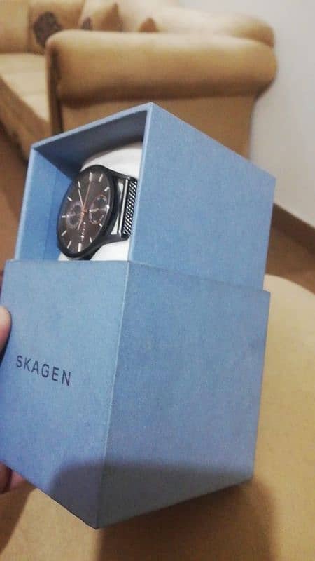 Skagen watch 1