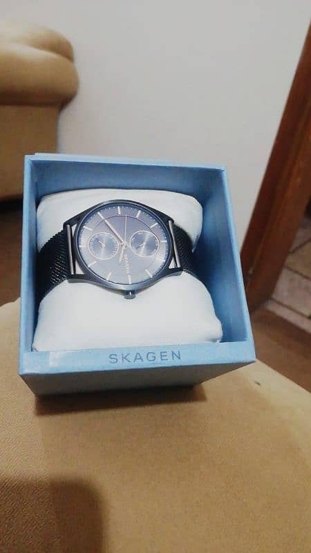 Skagen watch 2