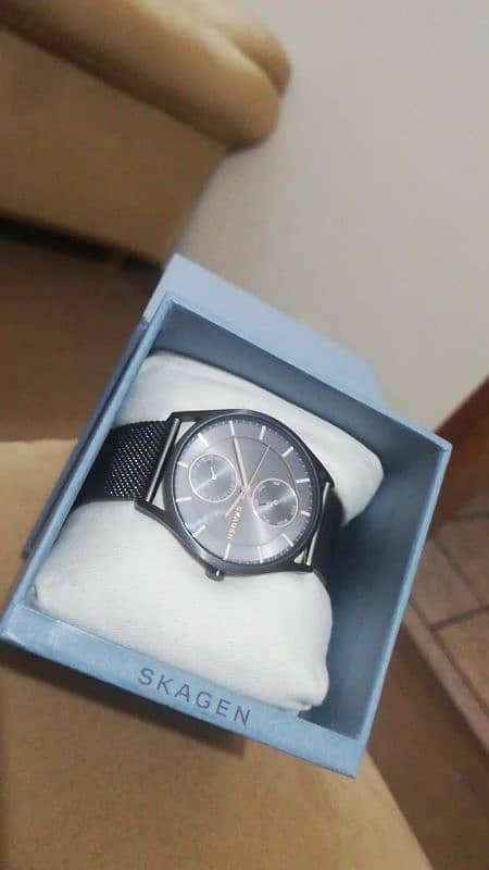 Skagen watch 3