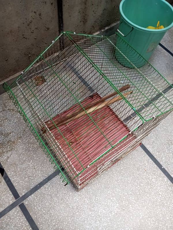 cage available/pinjra 1