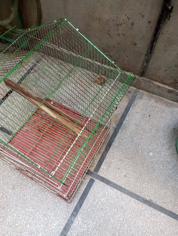 cage available/pinjra 2