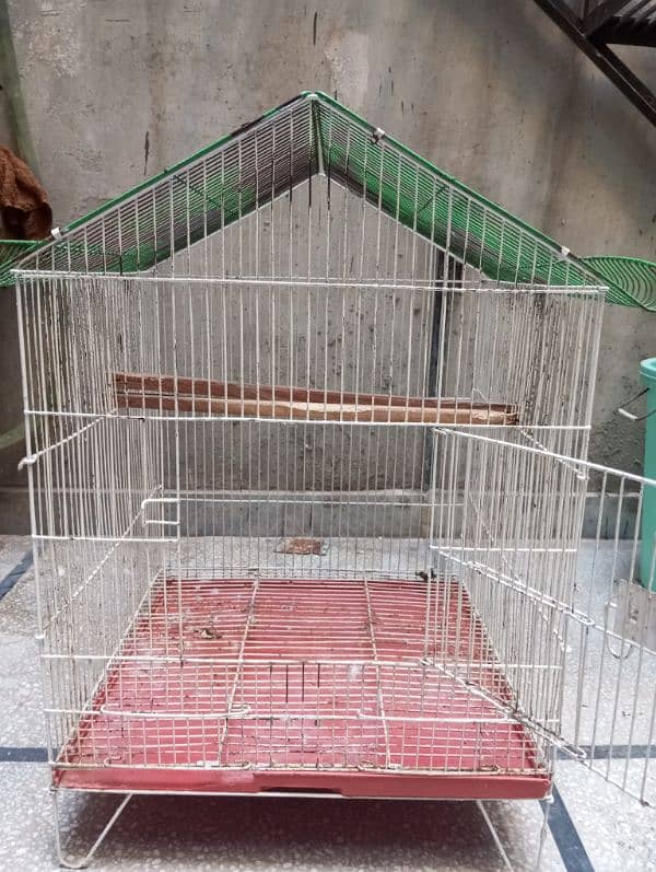 cage available/pinjra 5