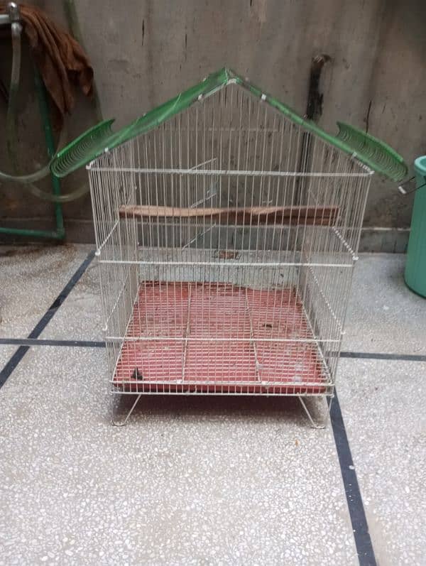 cage available/pinjra 7