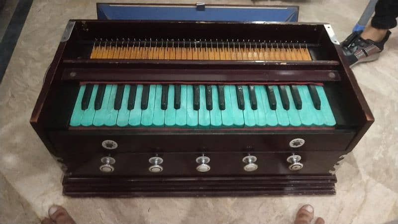 Indian harmonium 0