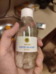 Active Water Kefir Grains