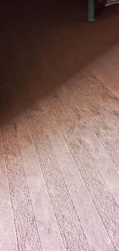 Room Carpet