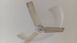 4 ceiling fans urgent sale