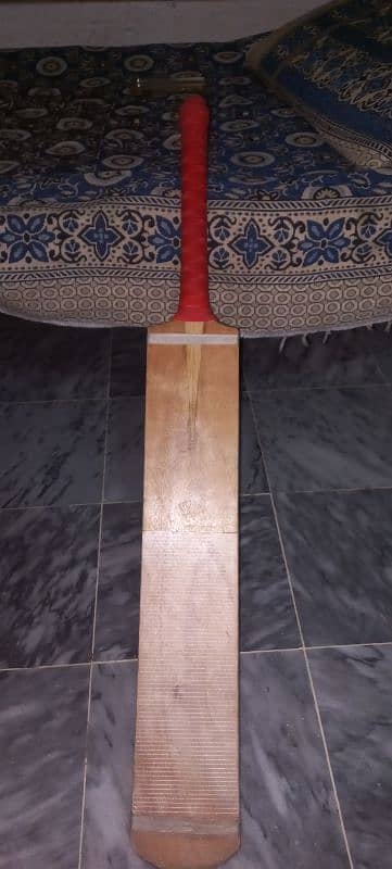 Coconut wood tapeball bat with double bat cover for sale 2