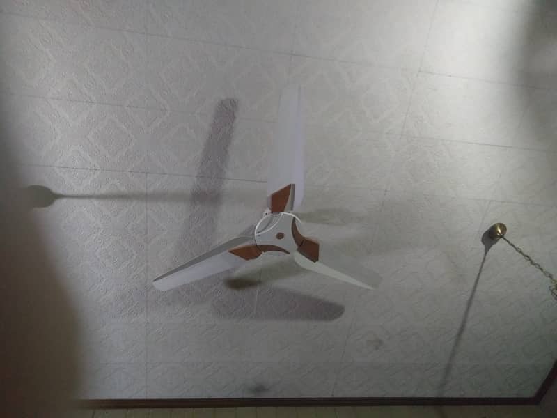 Champion ceiling fan 2