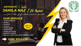 advocate /lawyer in sindh/ civil  cases / criminal cases