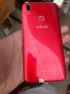 vivo