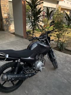 Yamaha YBR 125 2019 for sale