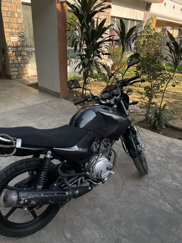 Yamaha YBR 125 2019 for sale 0