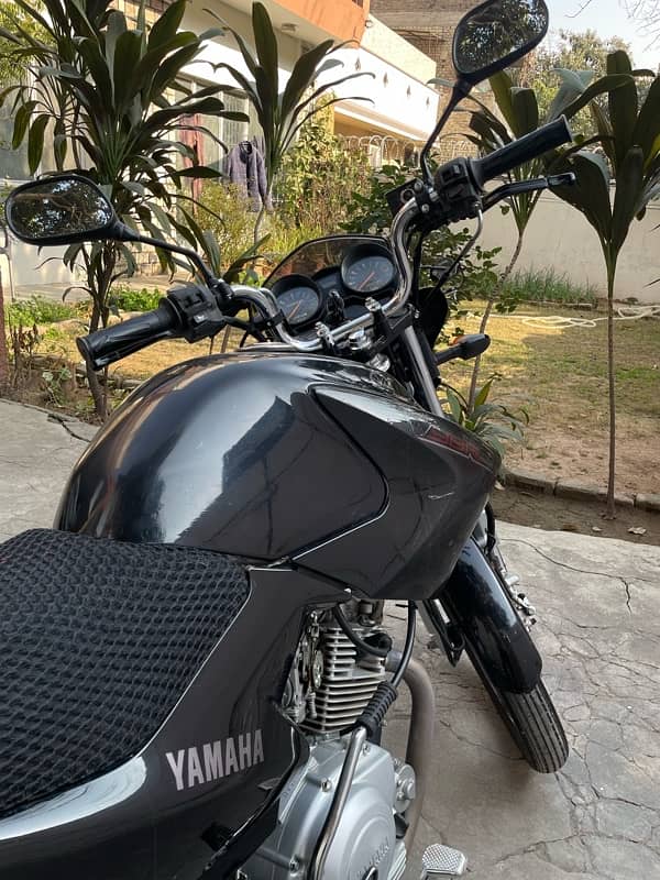 Yamaha YBR 125 2019 for sale 1