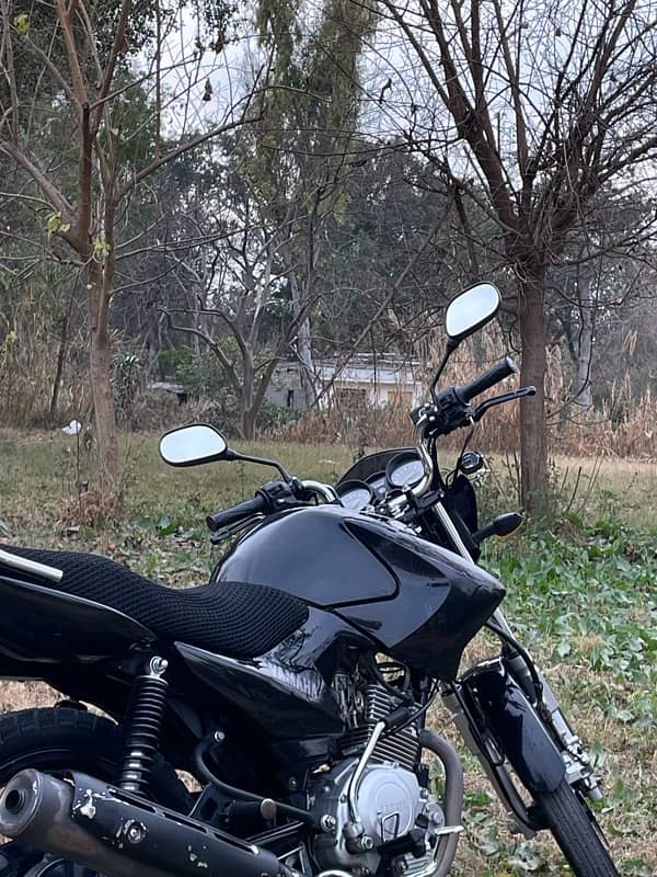 Yamaha YBR 125 2019 for sale 14