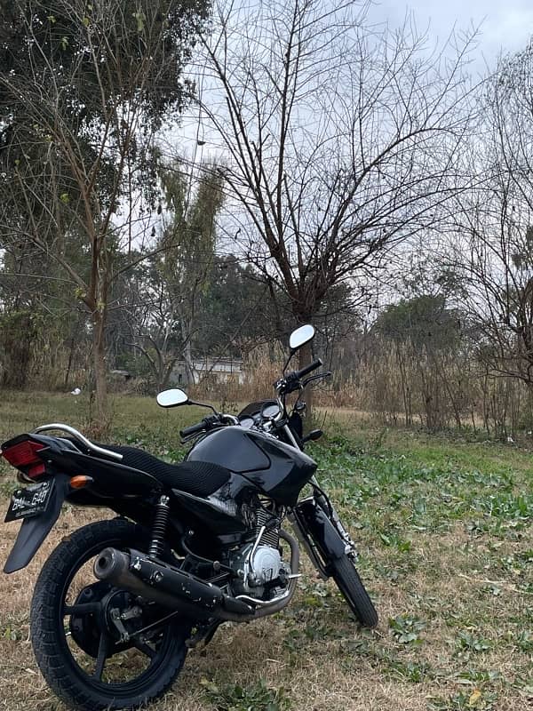 Yamaha YBR 125 2019 for sale 15