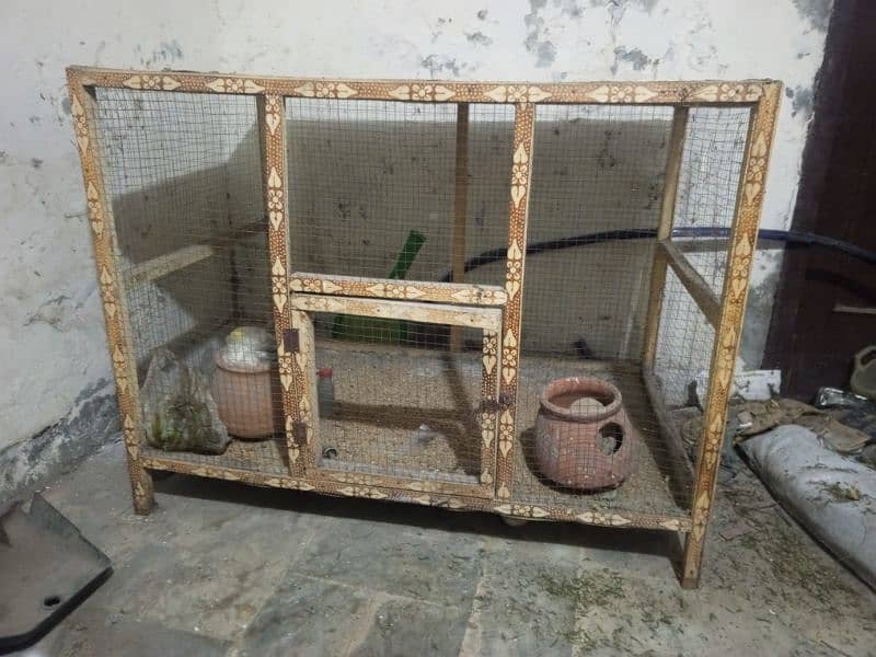 cage panjra parrot for sale no yoz 0