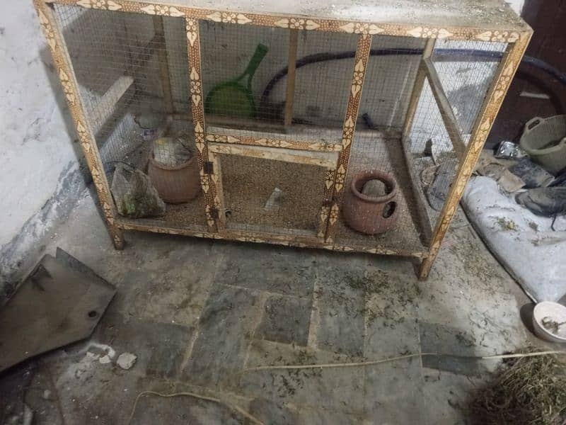 cage panjra parrot for sale no yoz 1